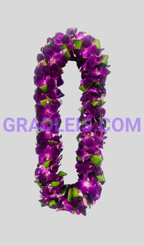 PRE-ORDER DOUBLE BOMBAY AND TI LEAF GRADUATION LEI - Funeral Flowers Online