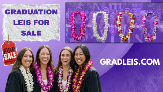 Where to Buy the Best Double Orchid Graduation Leis in 2026 with your Friends