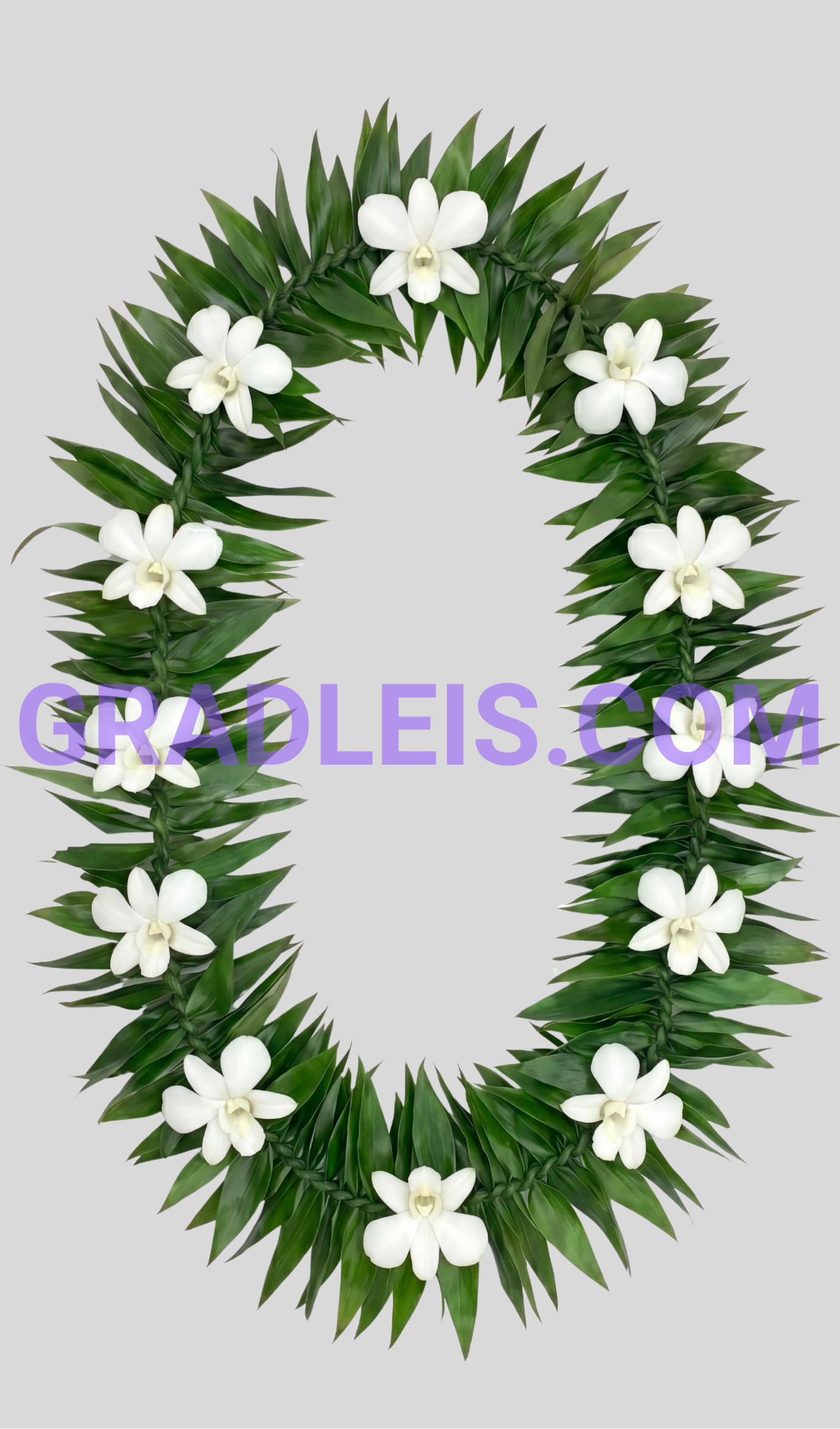 PRE-ORDER MAILE TI LEAF LEI W/WHITE ORCHID - Funeral Flowers Online