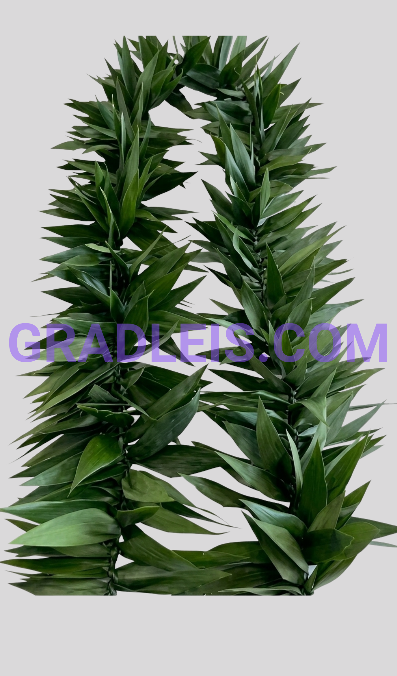 PRE-ORDER FEATHERED MAILE LEI TI LEAF - Funeral Flowers Online