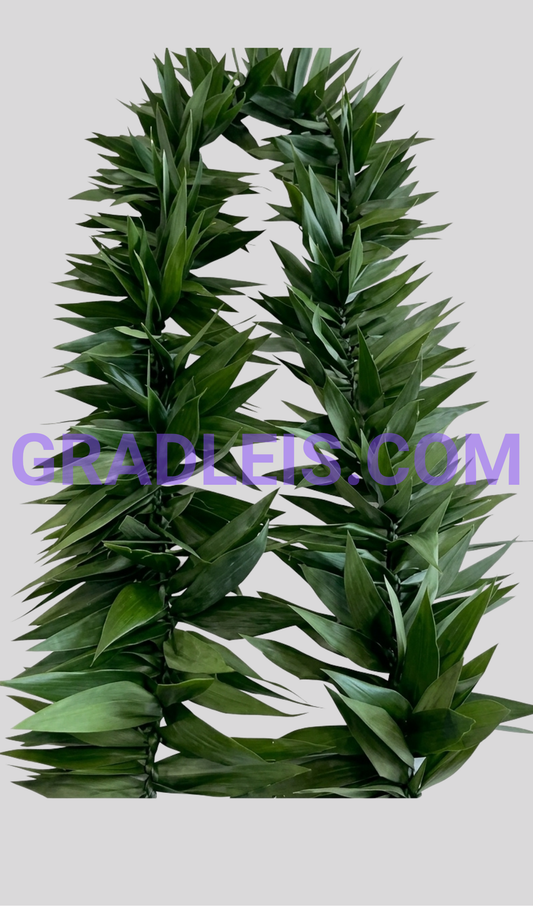 PRE-ORDER FEATHERED MAILE LEI TI LEAF - Funeral Flowers Online