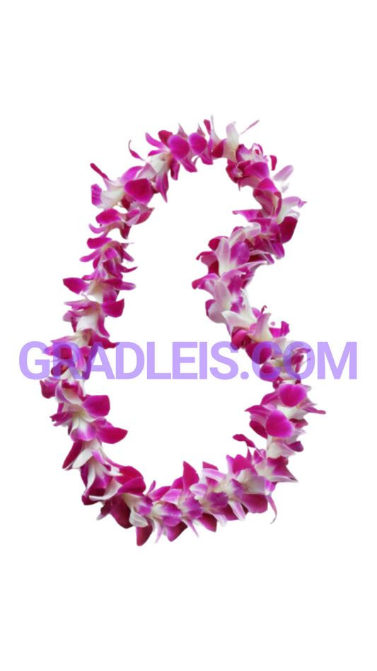 Sinlge Bombay Orchid Lei (Pre-Order Pricing) - Funeral Flowers Online