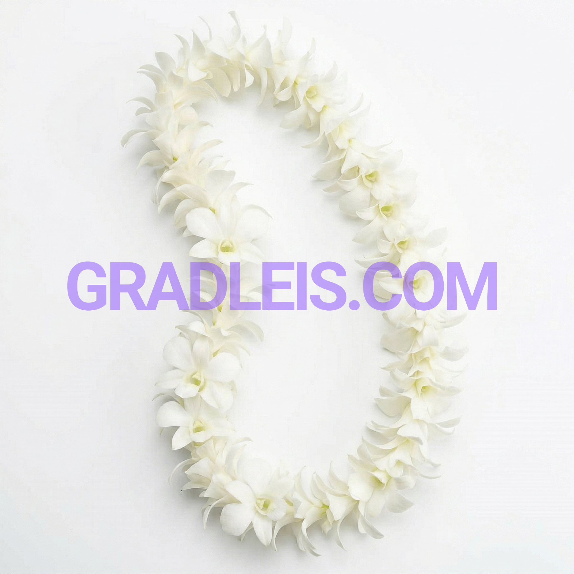 PRE ORDER Sinlge White Orchid Lei - Funeral Flowers Online