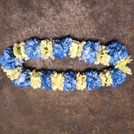 BLUE AND YELLOW CARNATION LEI GRADUATION LEI - Funeral Flowers Online