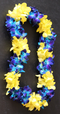 Custom Blue/Yellow Orchid Graduation Lei (Pre-Order Pricing) - Funeral Flowers Online