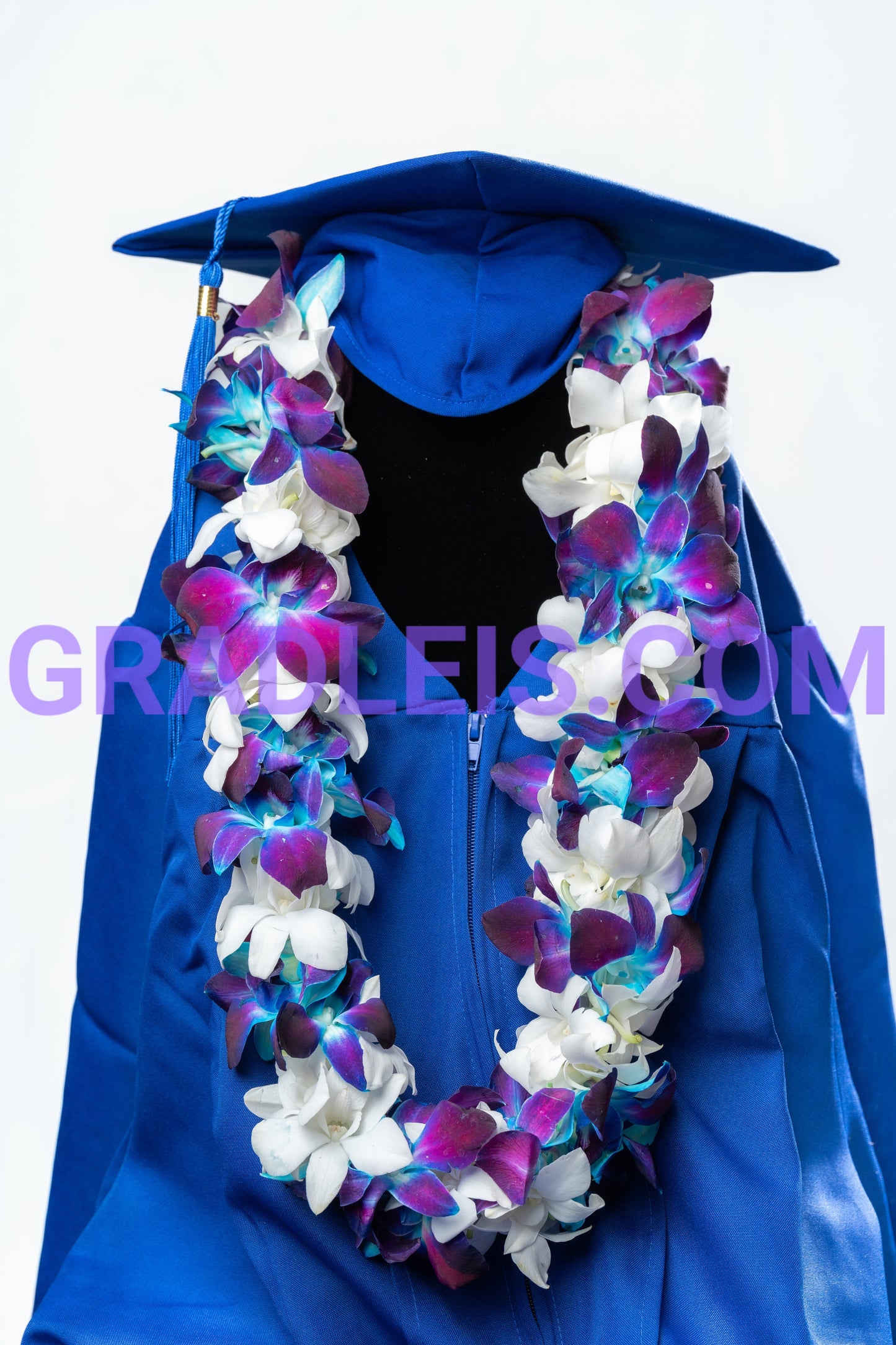 Blue And White Double Orchid Graduation Lei - Funeral Flowers Online