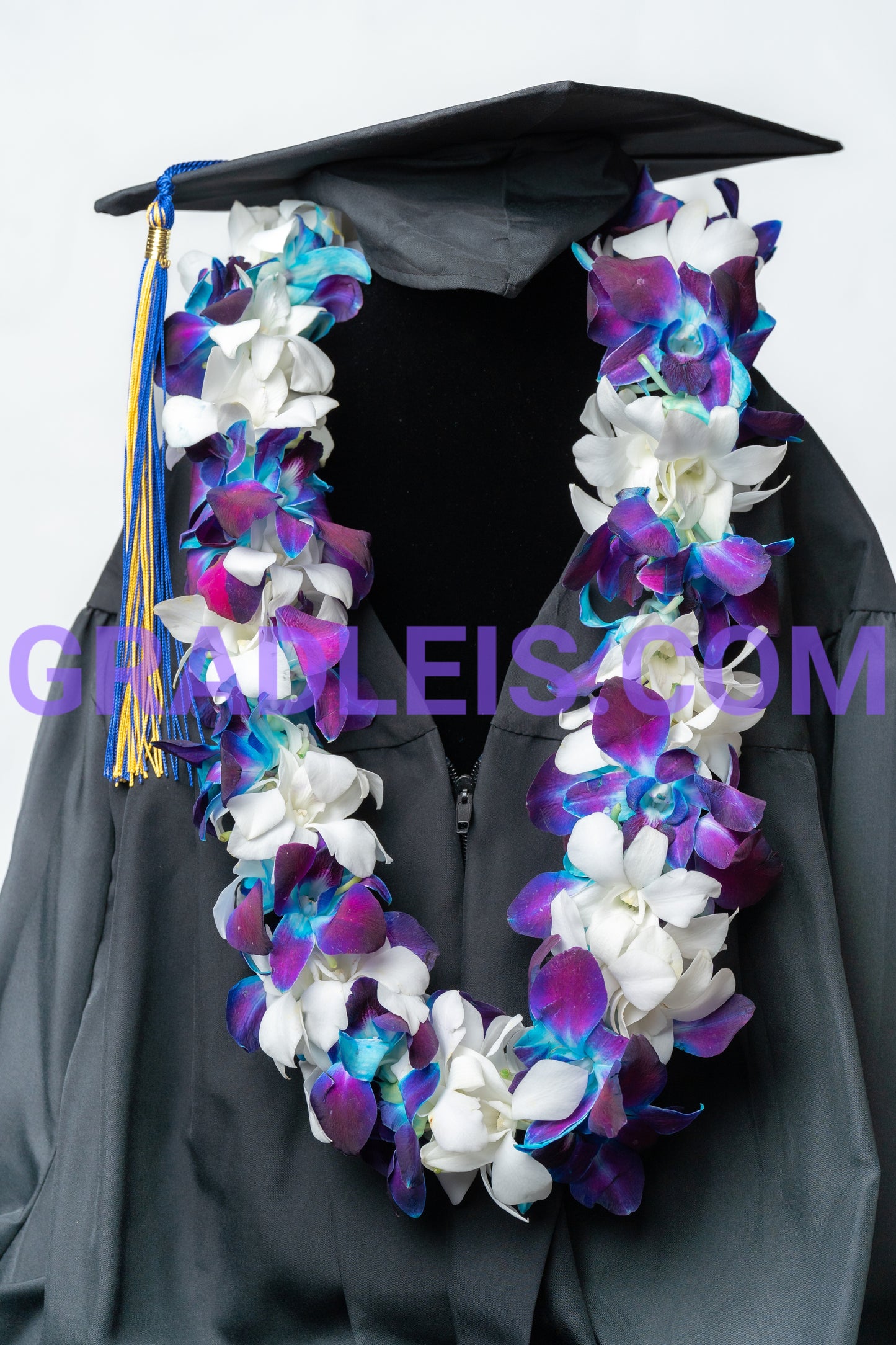 Blue And White Double Orchid Graduation Lei - Funeral Flowers Online