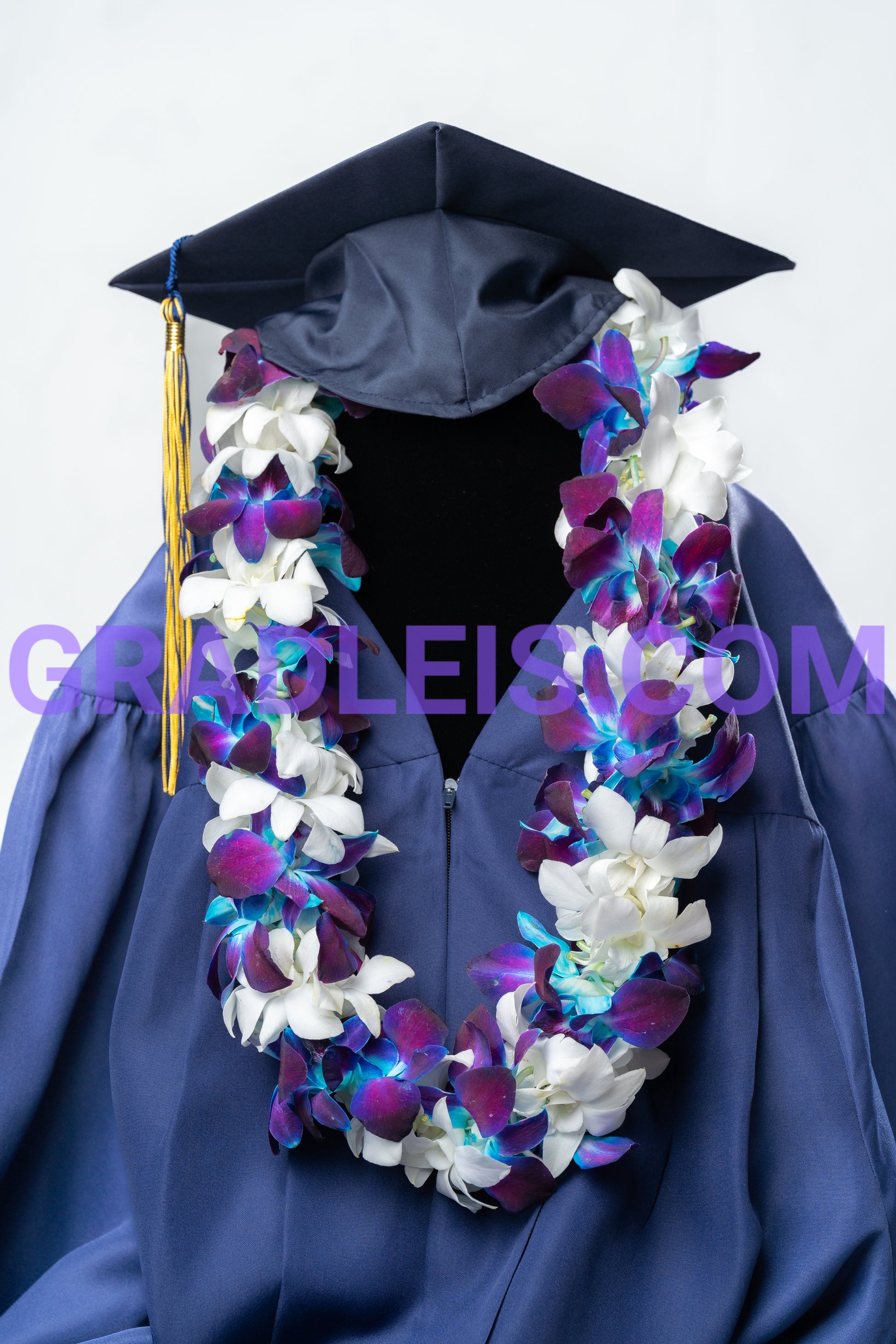 Blue And White Double Orchid Graduation Lei - Funeral Flowers Online