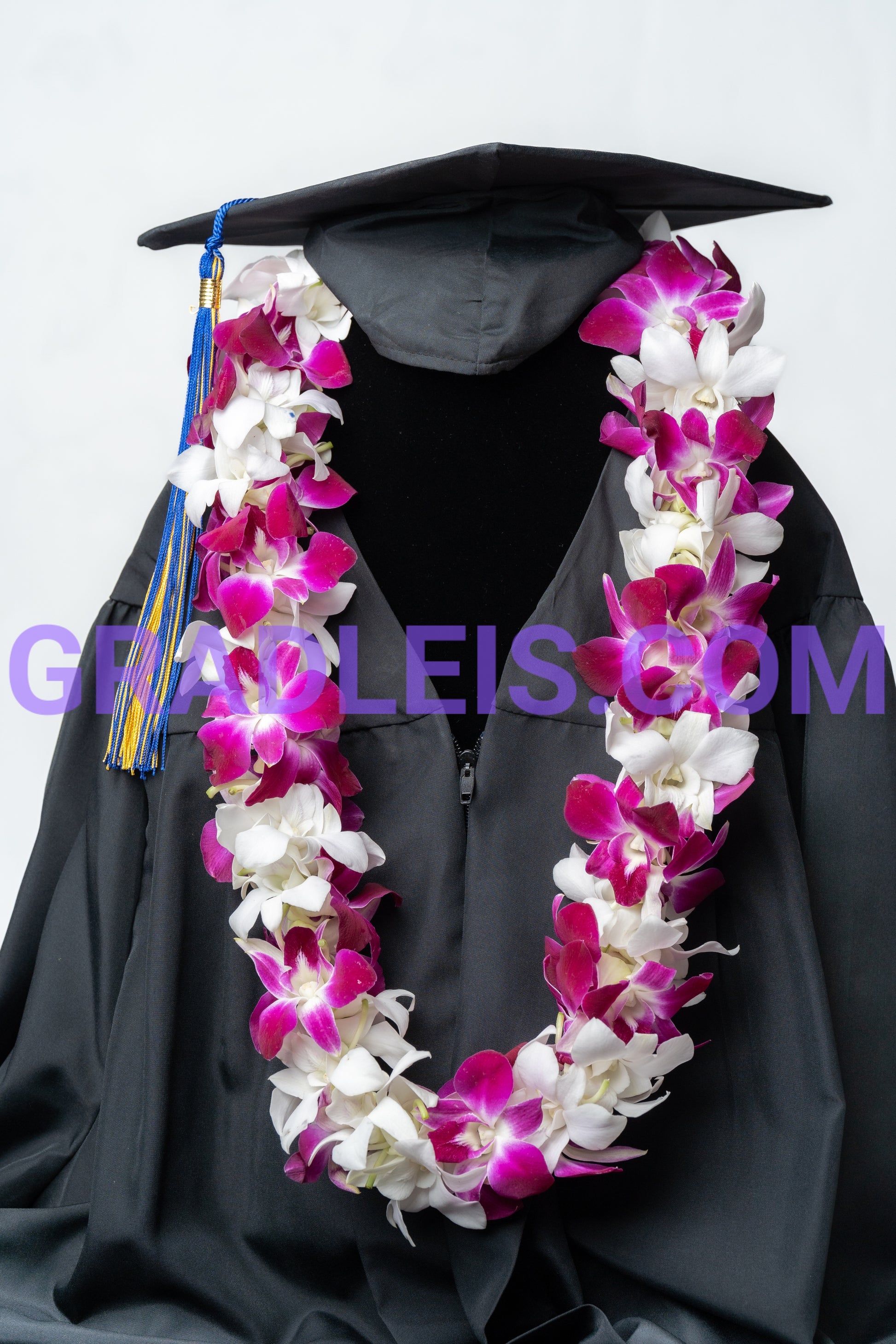 Bombay and White Double Orchid Graduation Lei - Funeral Flowers Online