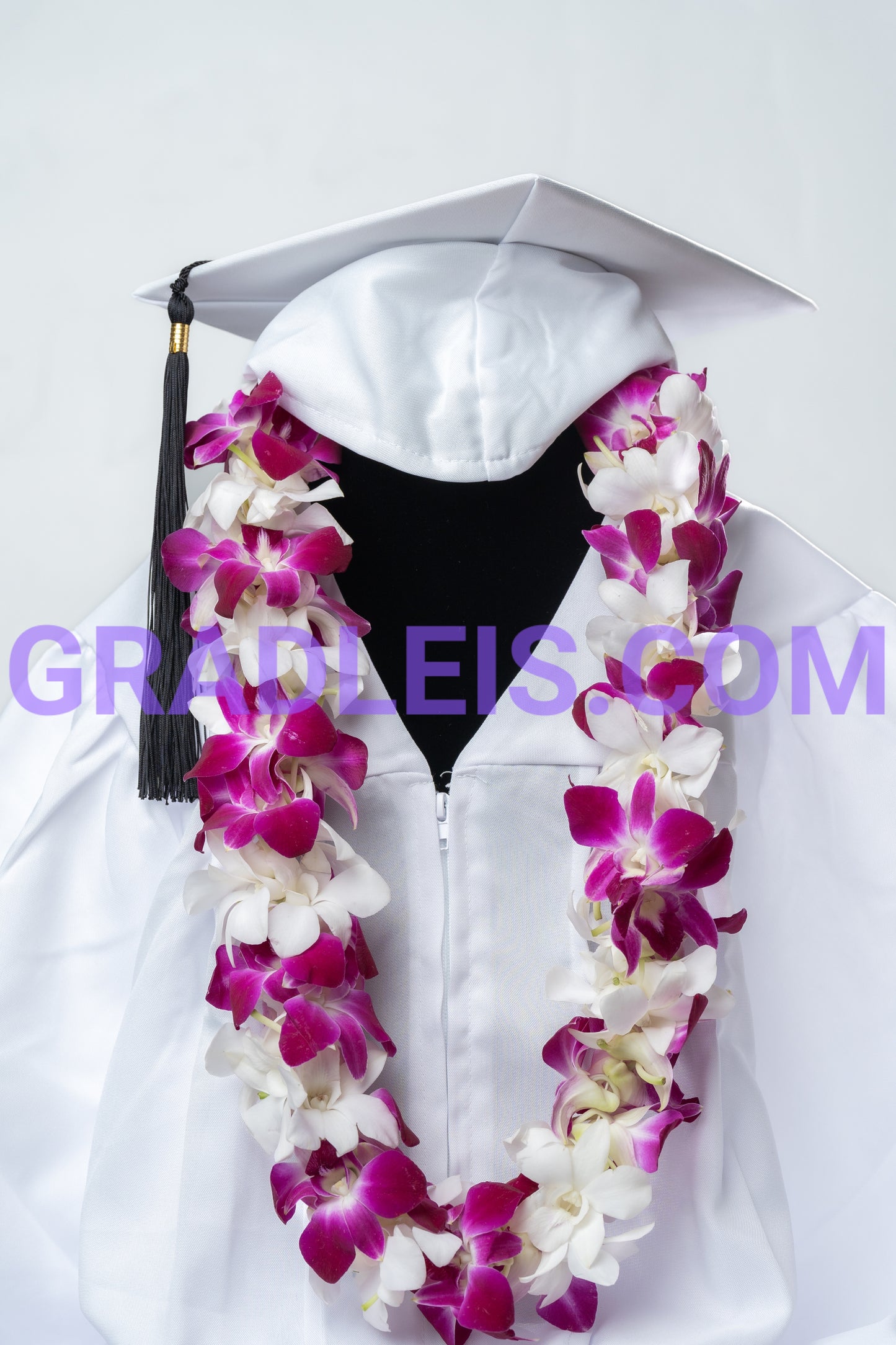 Bombay and White Double Orchid Graduation Lei - Funeral Flowers Online