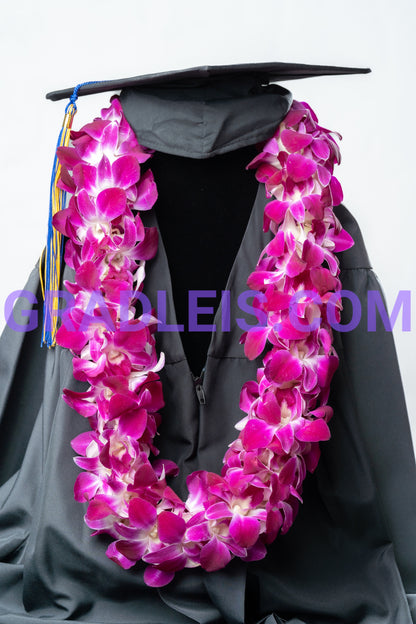 Double Bombay Orchid  Lei - Funeral Flowers Online