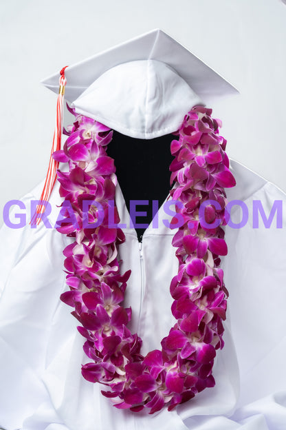 Double Bombay Orchid  Lei - Funeral Flowers Online