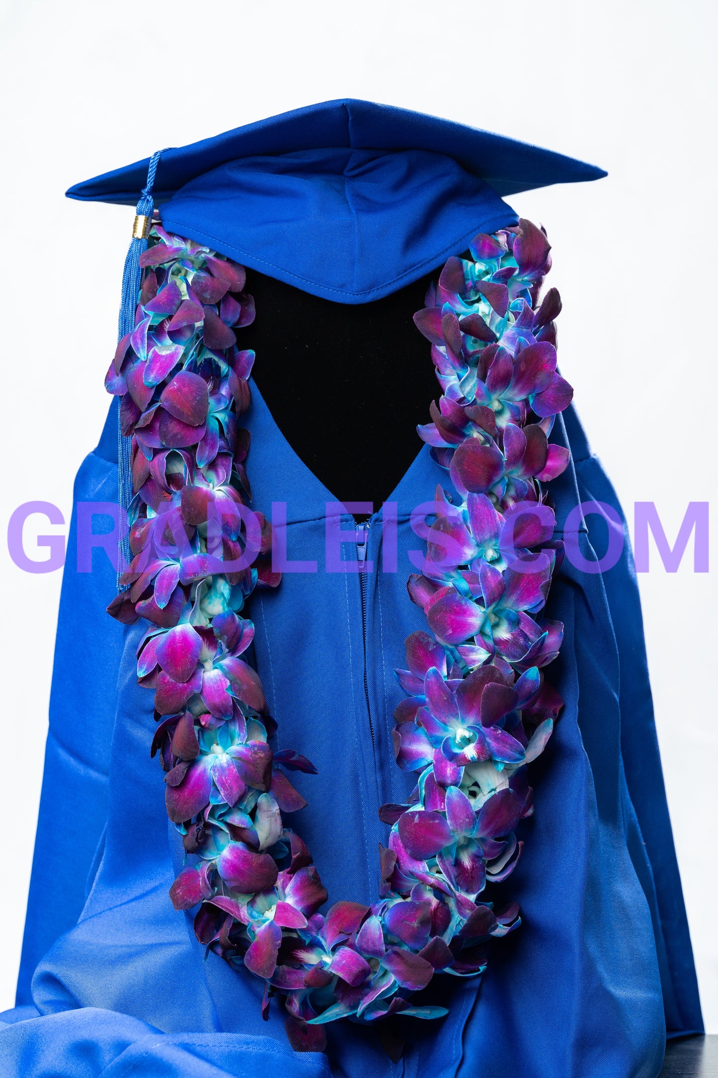 Double Blue Orchid Graduation Lei - Funeral Flowers Online