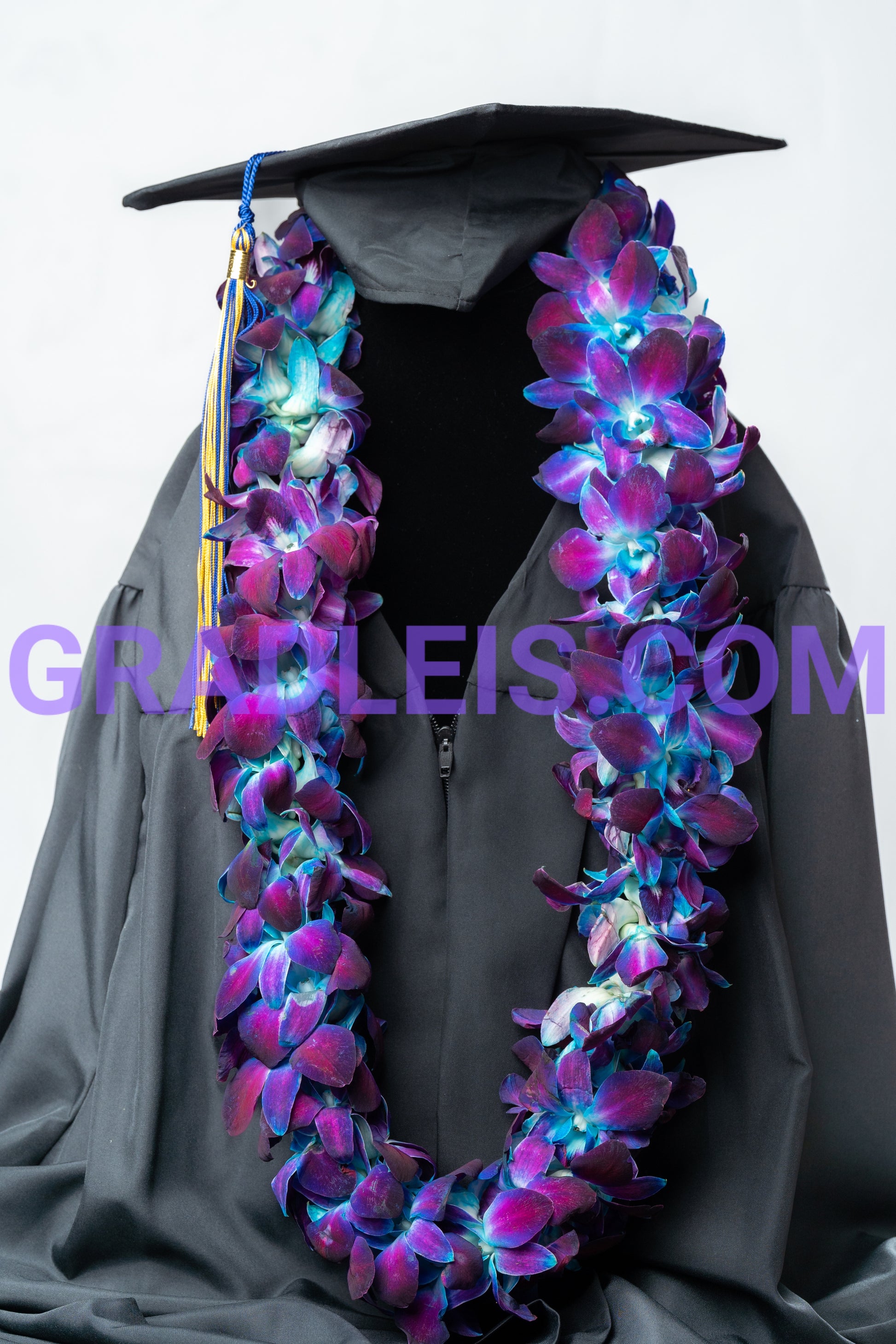 Double Blue Orchid Graduation Lei - Funeral Flowers Online