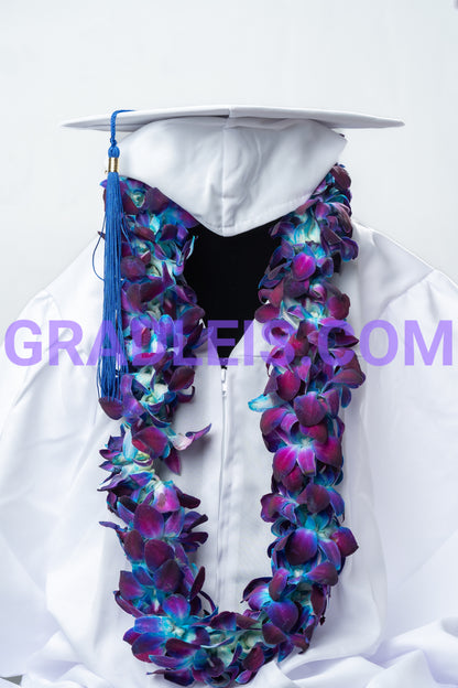 Double Blue Orchid Graduation Lei - Funeral Flowers Online