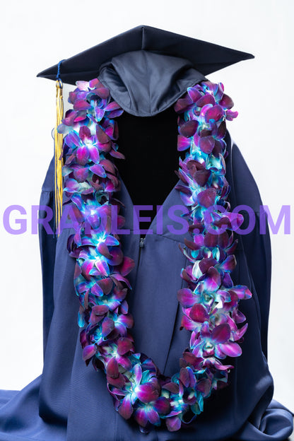 Double Blue Orchid Graduation Lei - Funeral Flowers Online