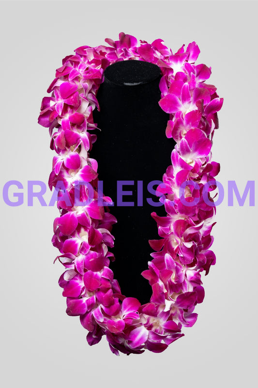 Double Bombay Orchid  Lei - Funeral Flowers Online