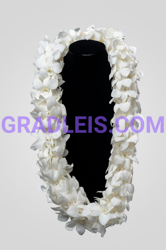 Premium Double White Orchid Graduation Lei - Funeral Flowers Online