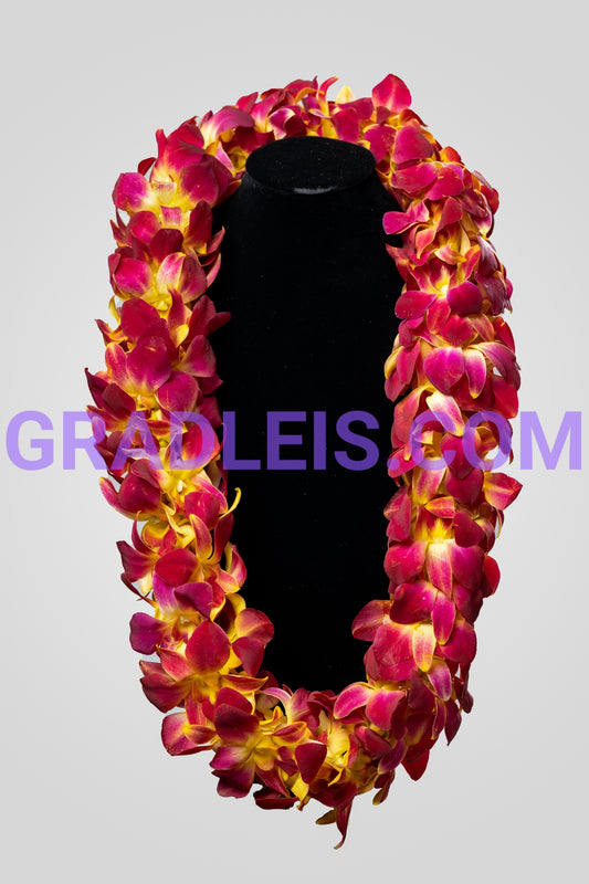 Trojan Yellow & Red Double Orchid Lei - Funeral Flowers Online